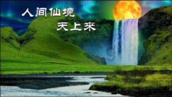 雨后盛放